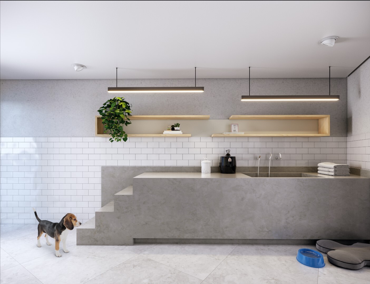 Pet care