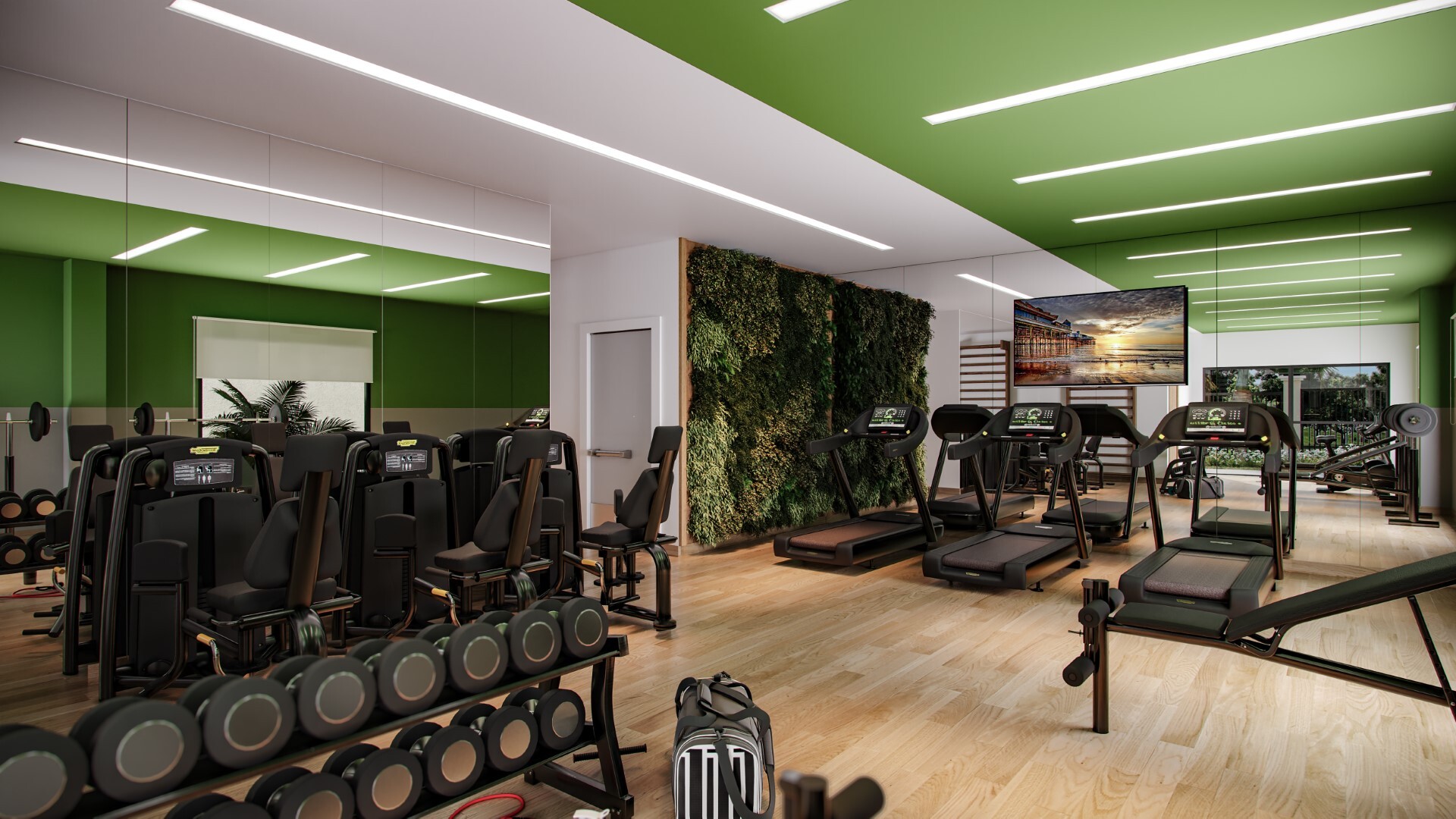 Fitness