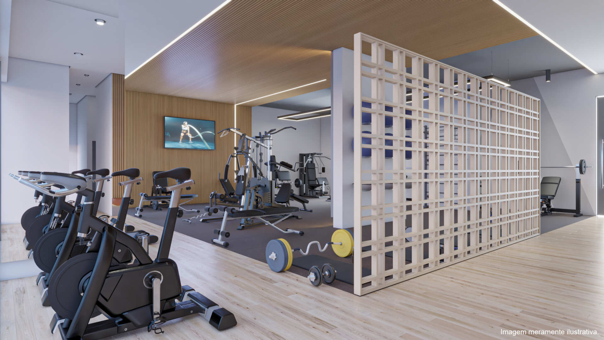 Aya - Fase 1 Aya - Fase 1