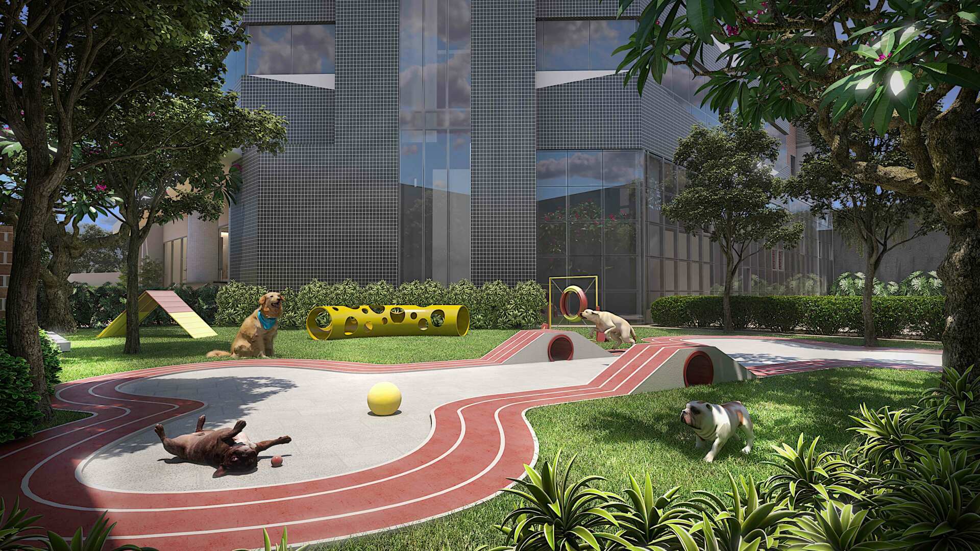 Aya - Fase 1 Aya - Fase 1