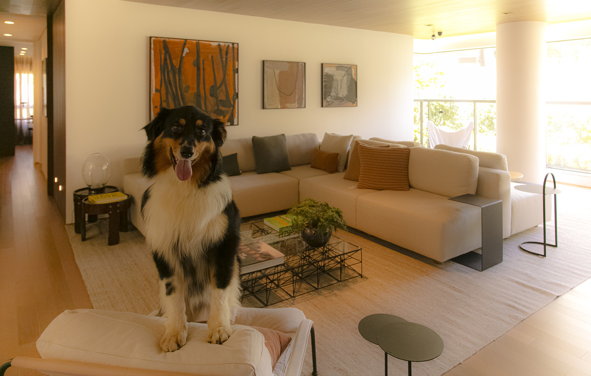 Portugal 587 - Even SP Portugal 587 - Even SP