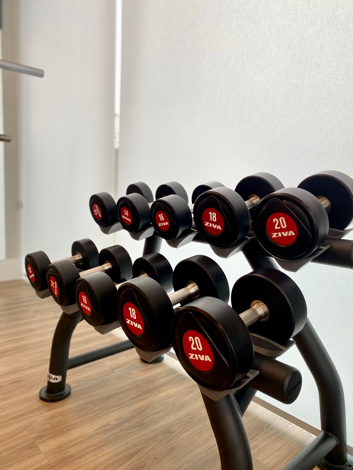 Fitness