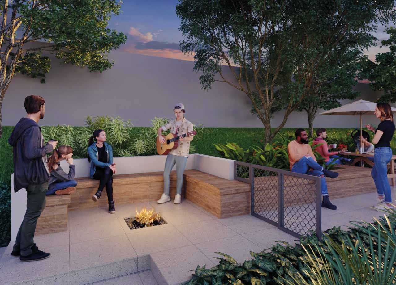 Viva Itamaracá - Graal