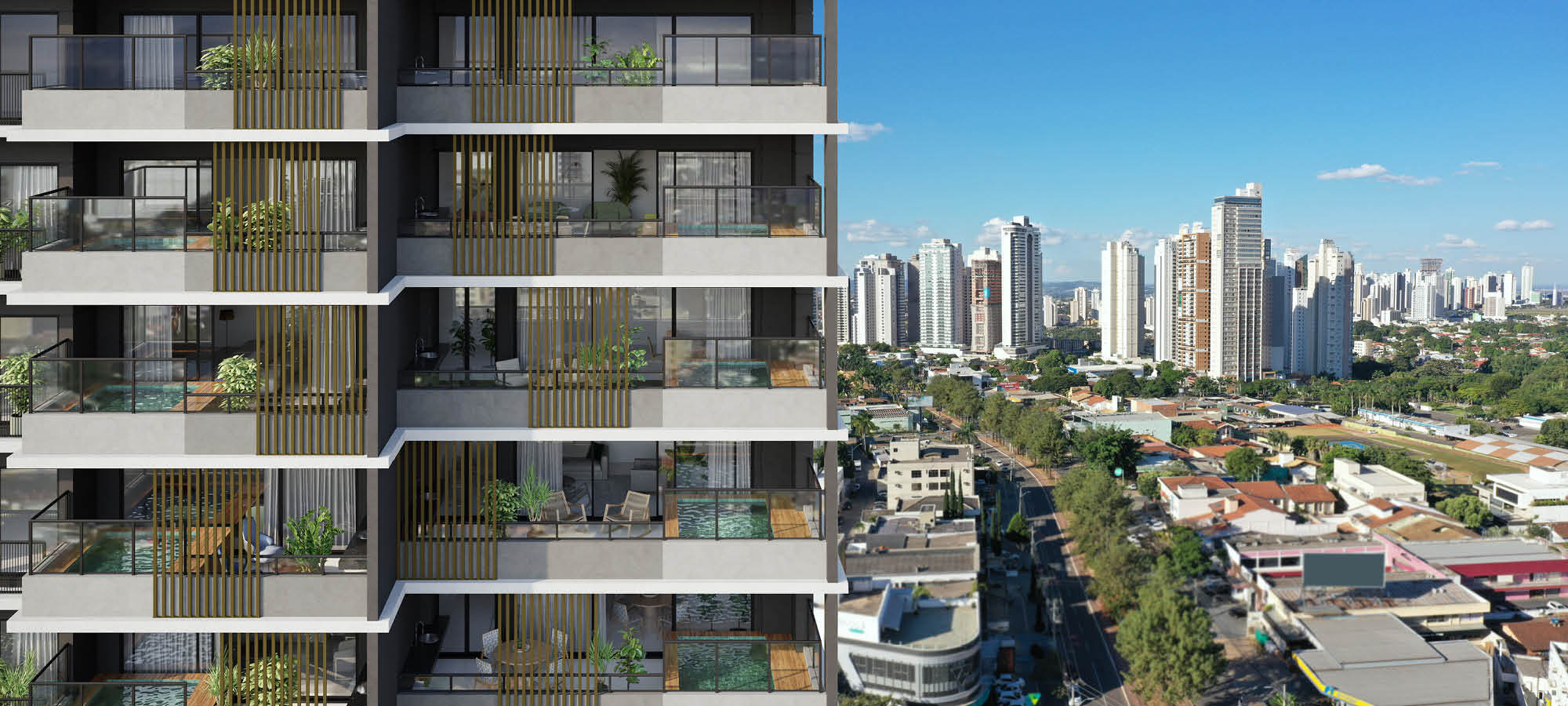 Gyro Ricardo Paranhos - Opus