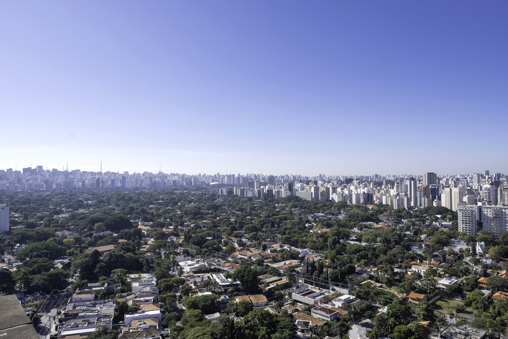 Vista