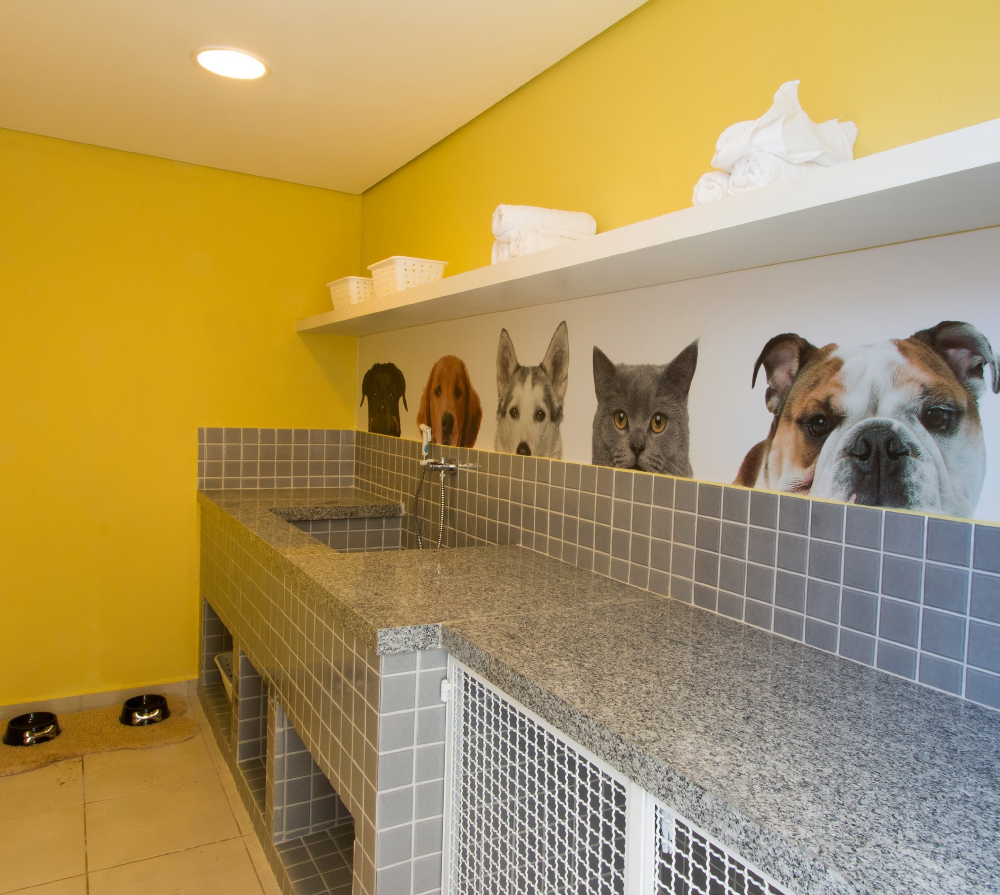 Pet care