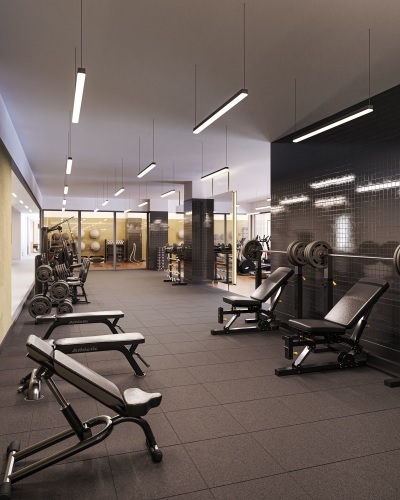 Fitness