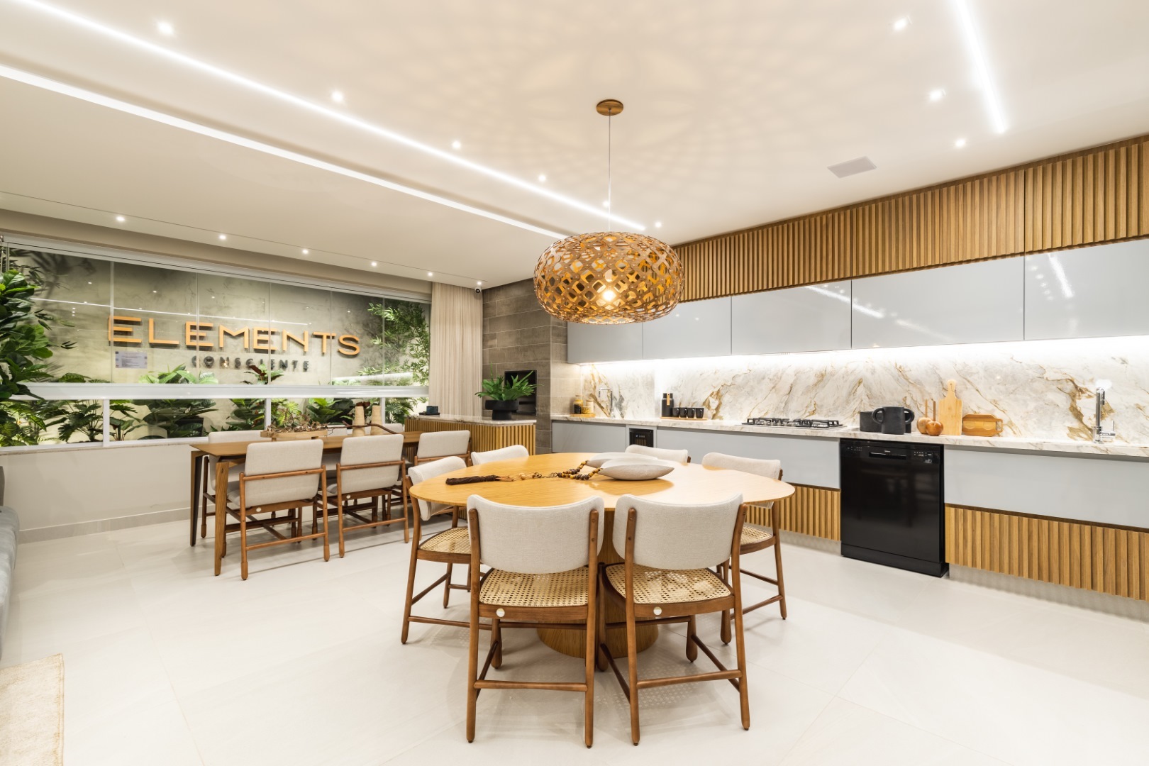 Elements Consciente - Consciente