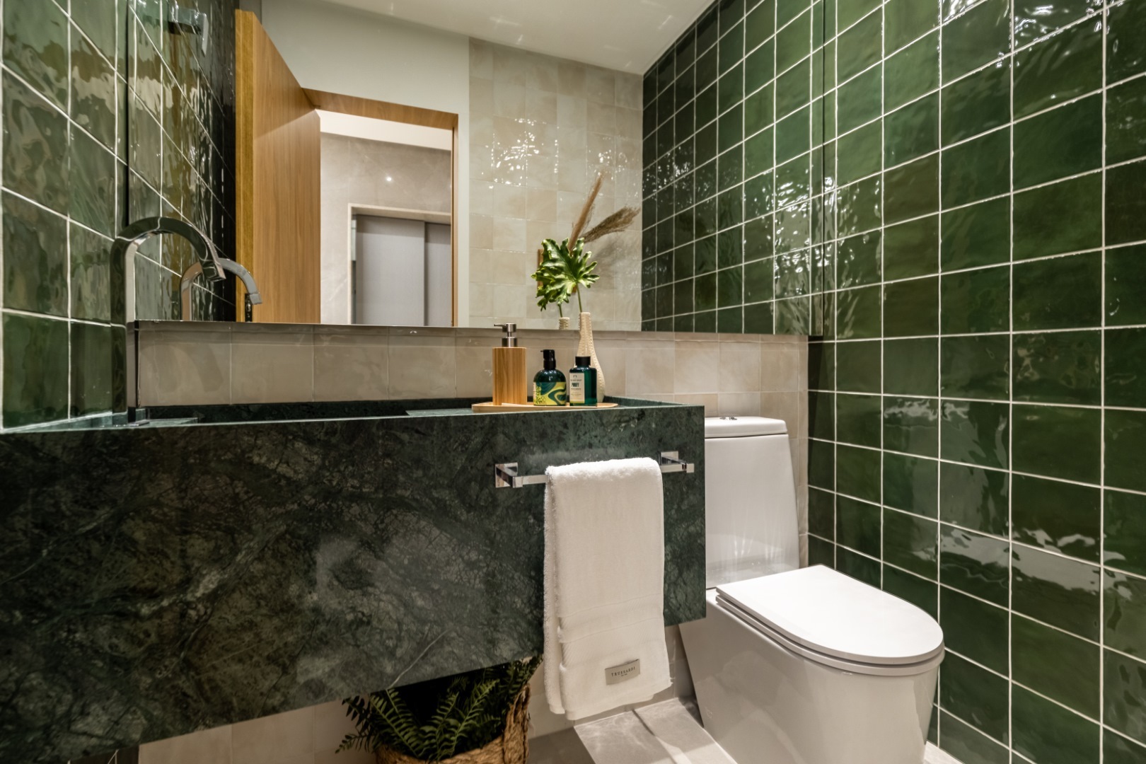 Elements Consciente - Consciente