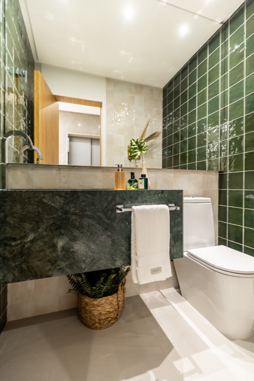 Elements Consciente - Consciente