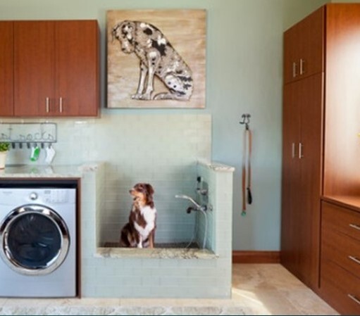 Pet care