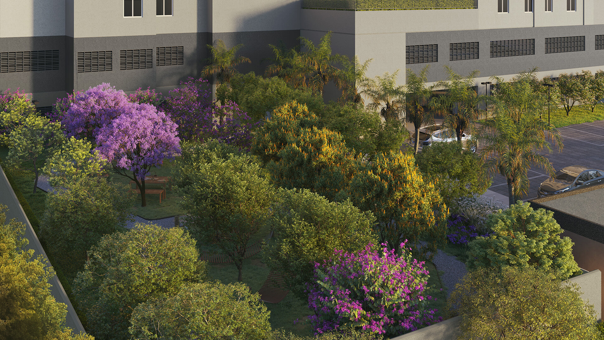 Jardim