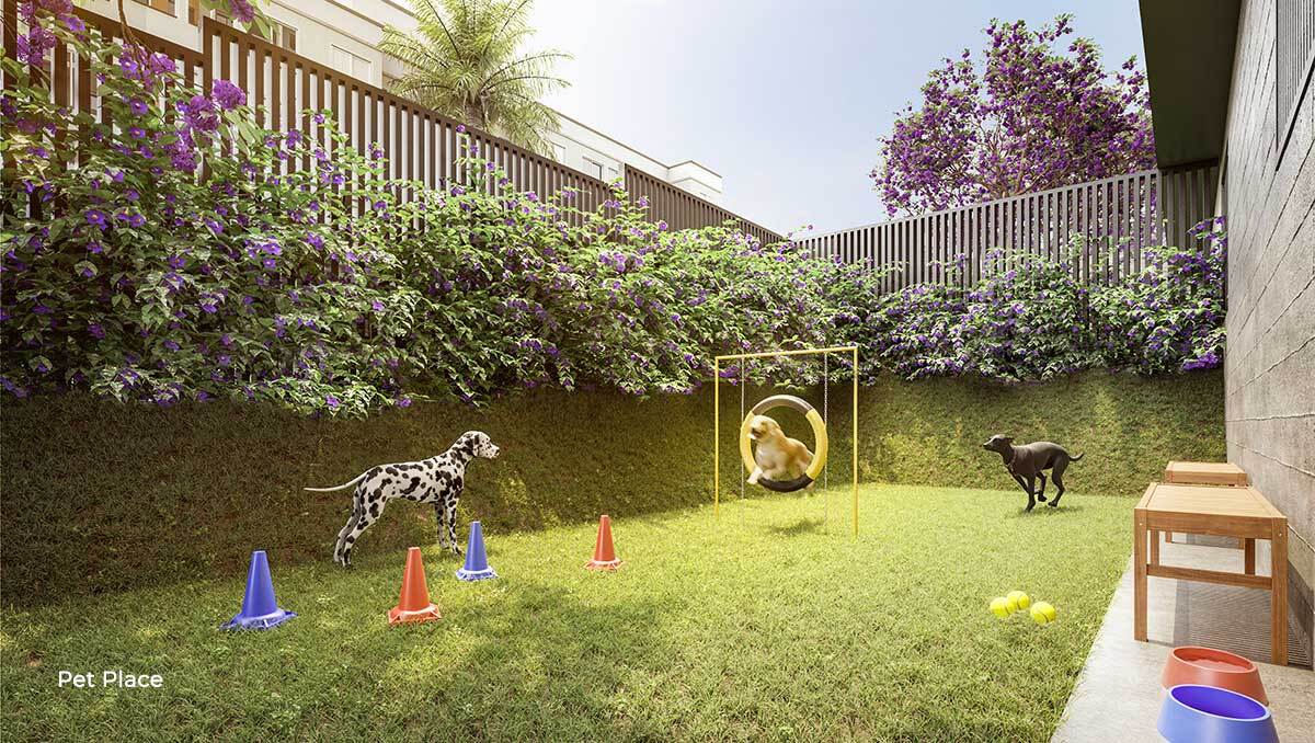 Pet place