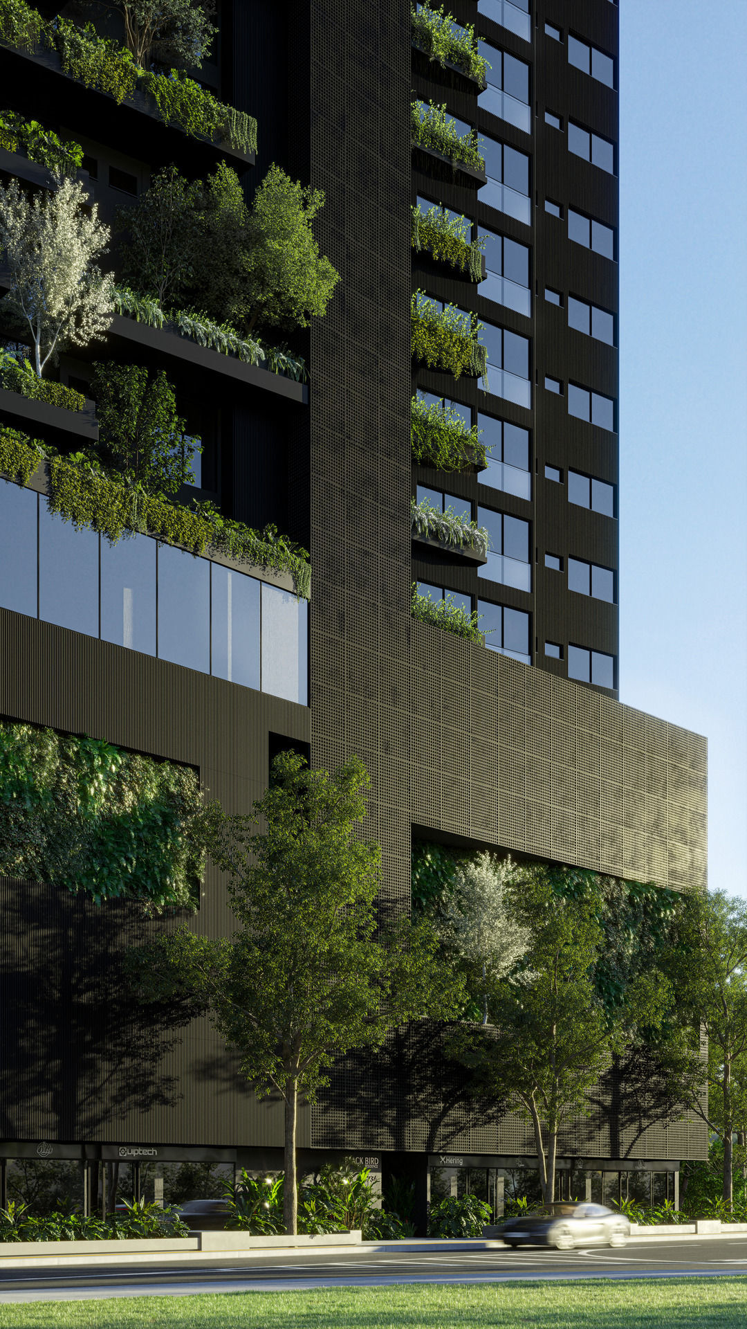 Black Bird - KMK Empreendimentos Black Bird - KMK Empreendimentos