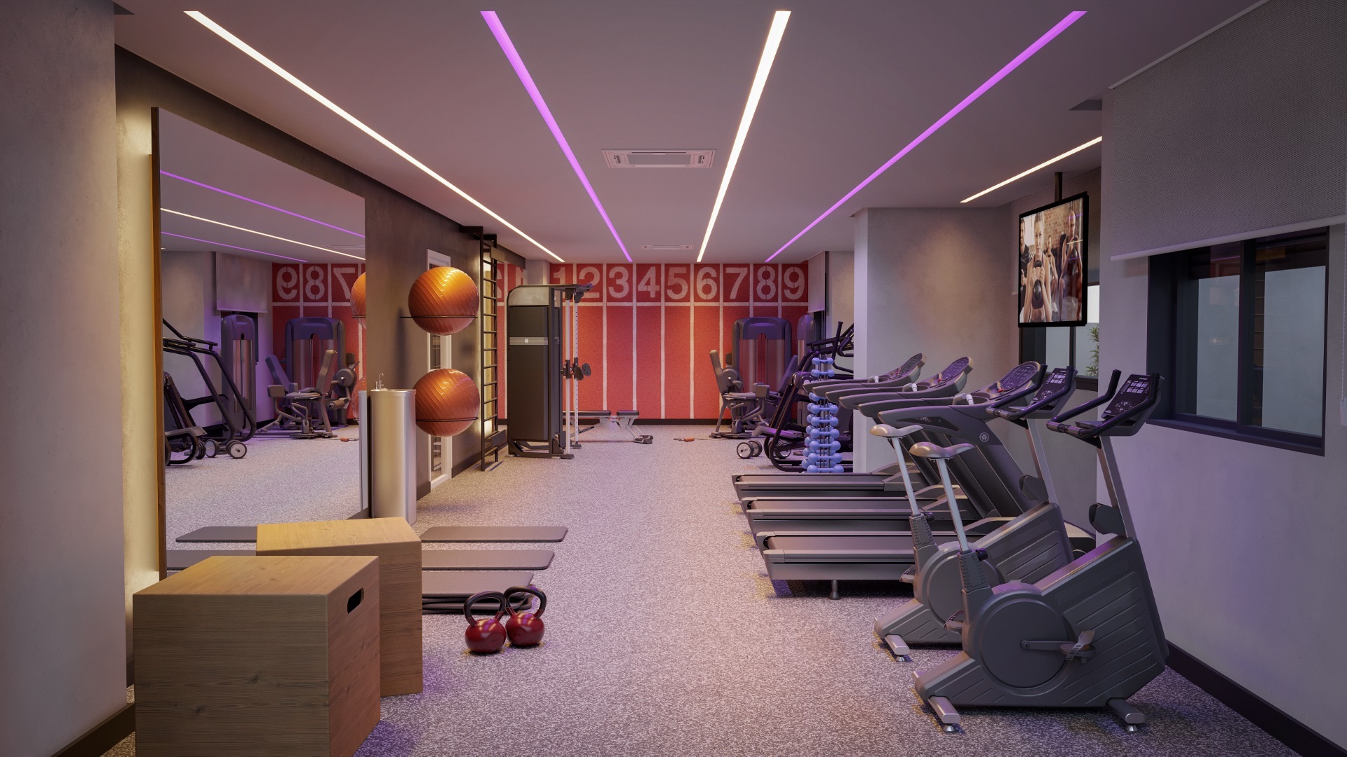Fitness