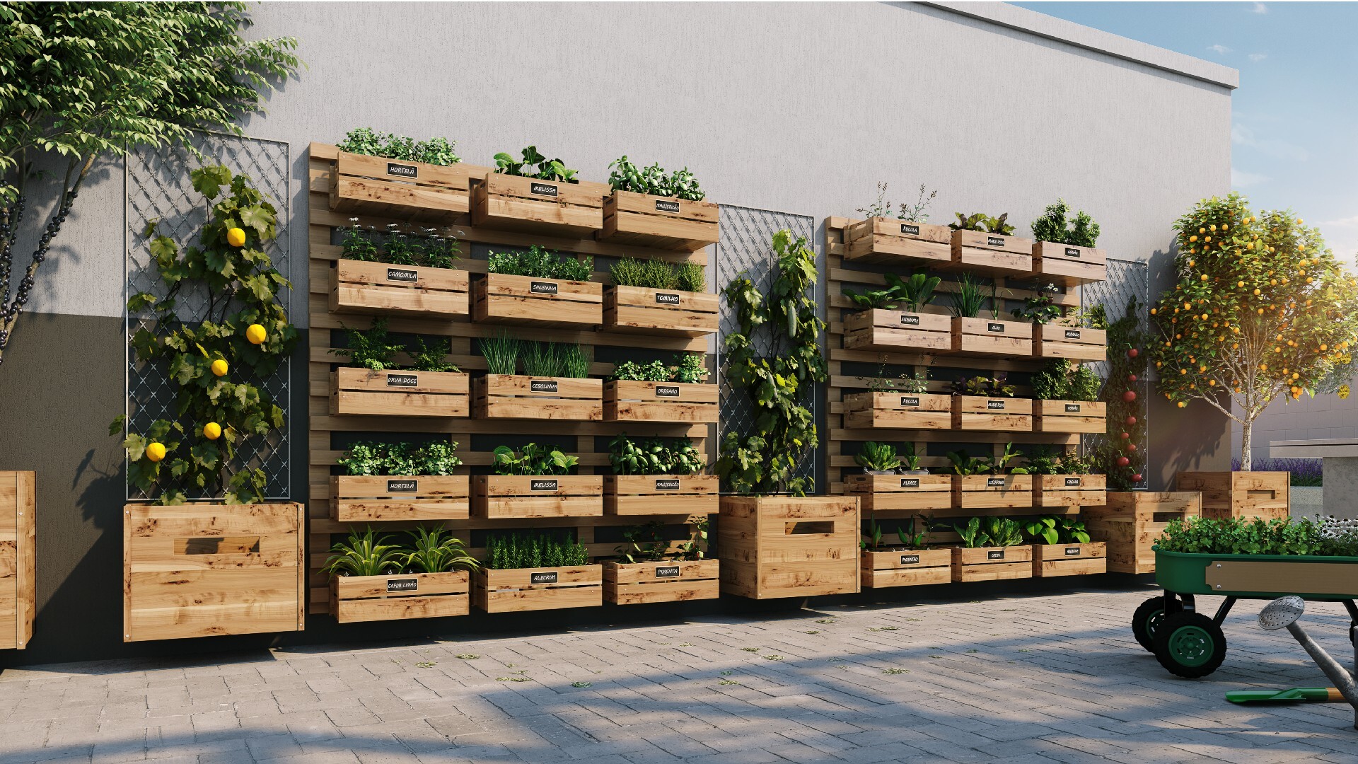 Duet Barra - Fase 2 Duet Barra - Fase 2