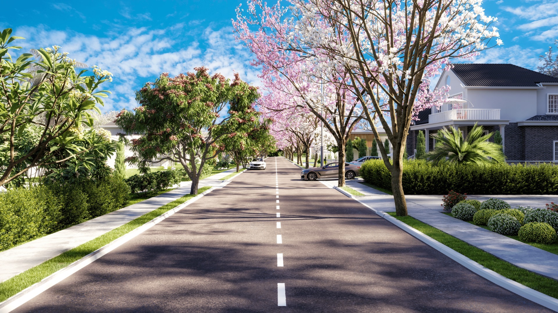 Vinhas Flamboyant - EBM GO