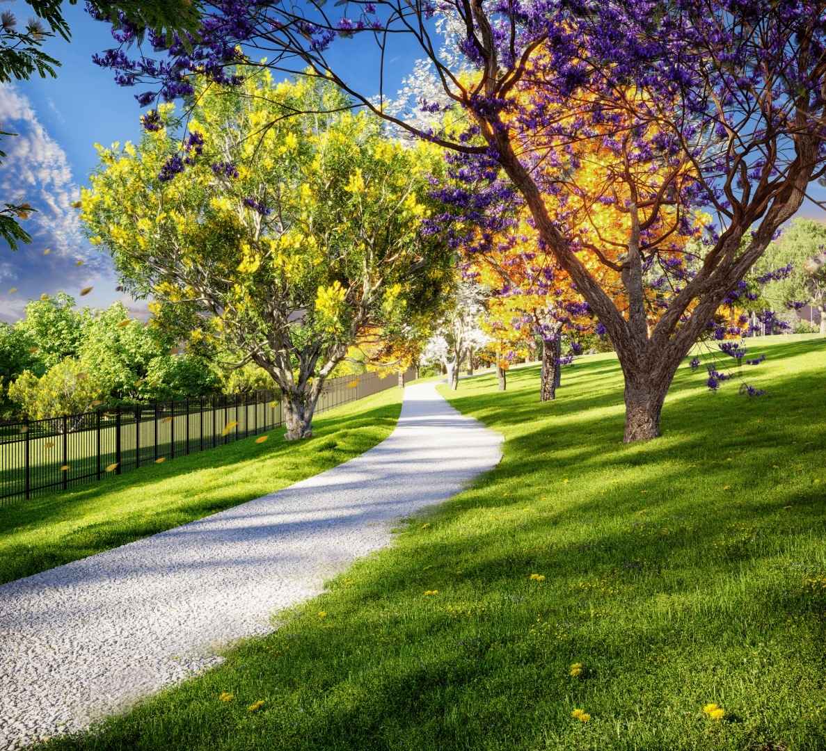 Vinhas Flamboyant - EBM GO