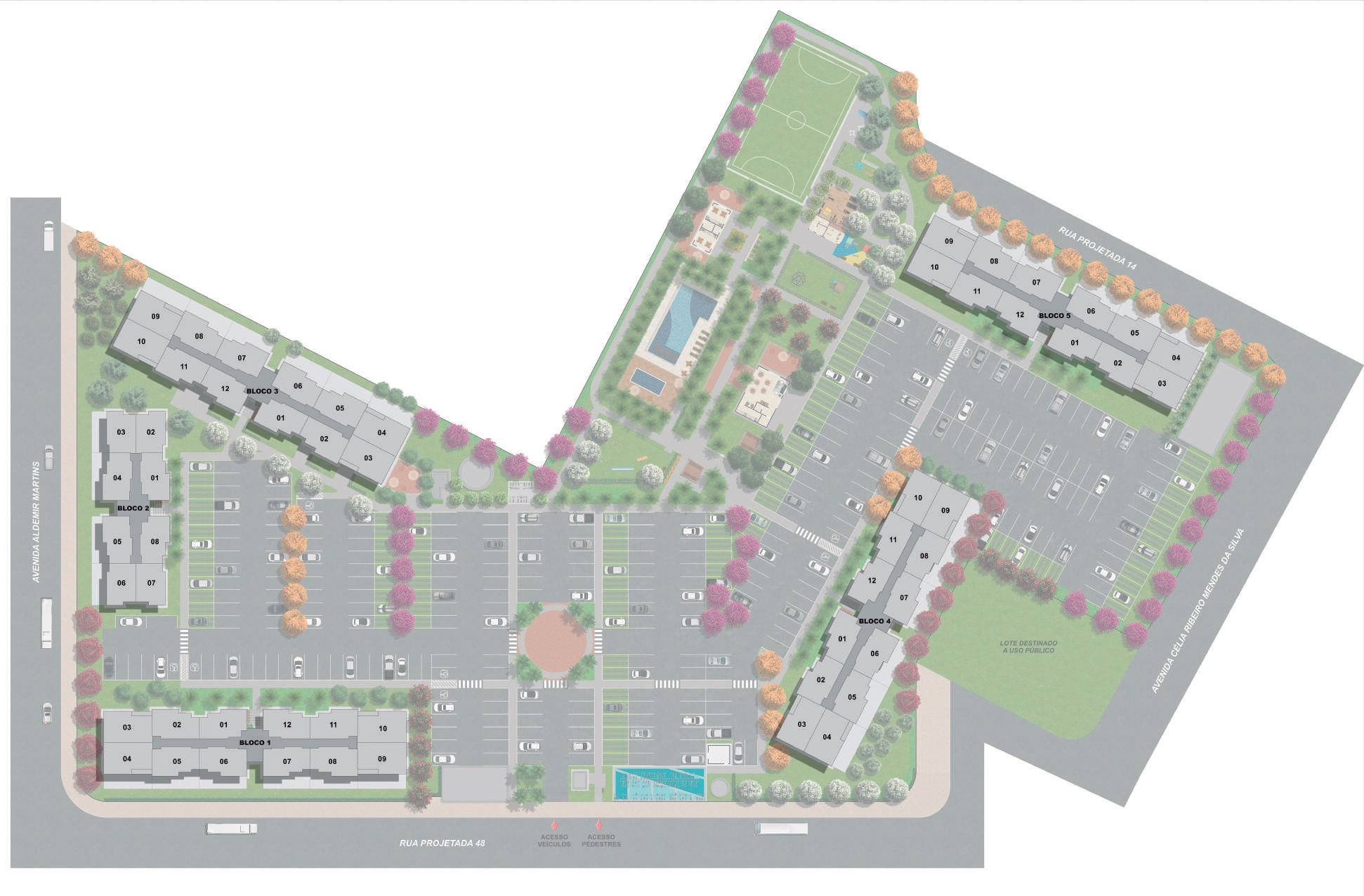 Vibe Sunset - Riva RJ