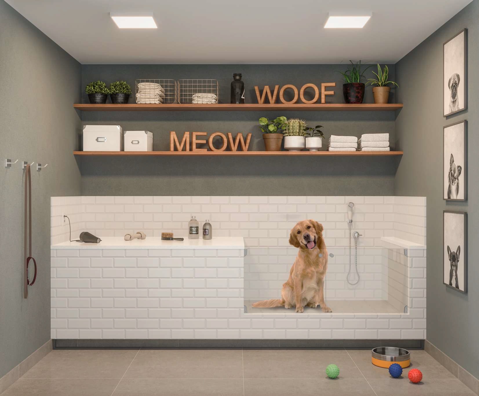 Pet care