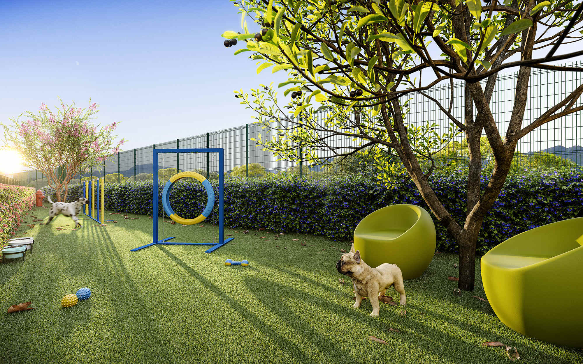 Dez Limão - Cury SP