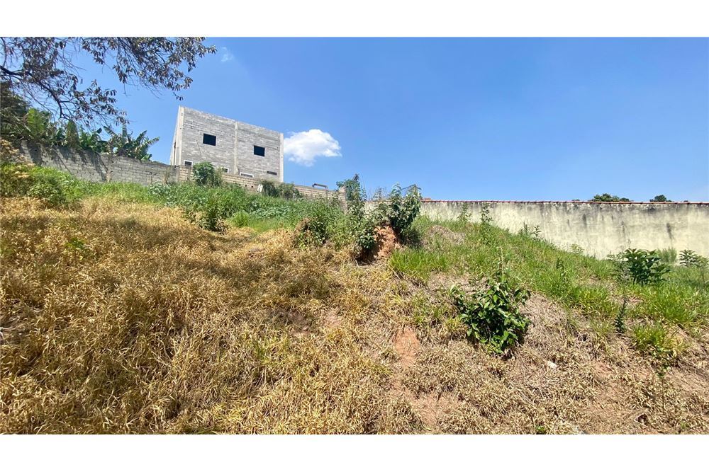 IRYROM 708 Lote 690591011-41 - REMAX Máxima Exclusividades