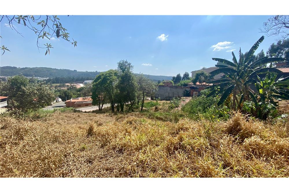 IRYROM 708 Lote 690591011-41 - REMAX Máxima Exclusividades