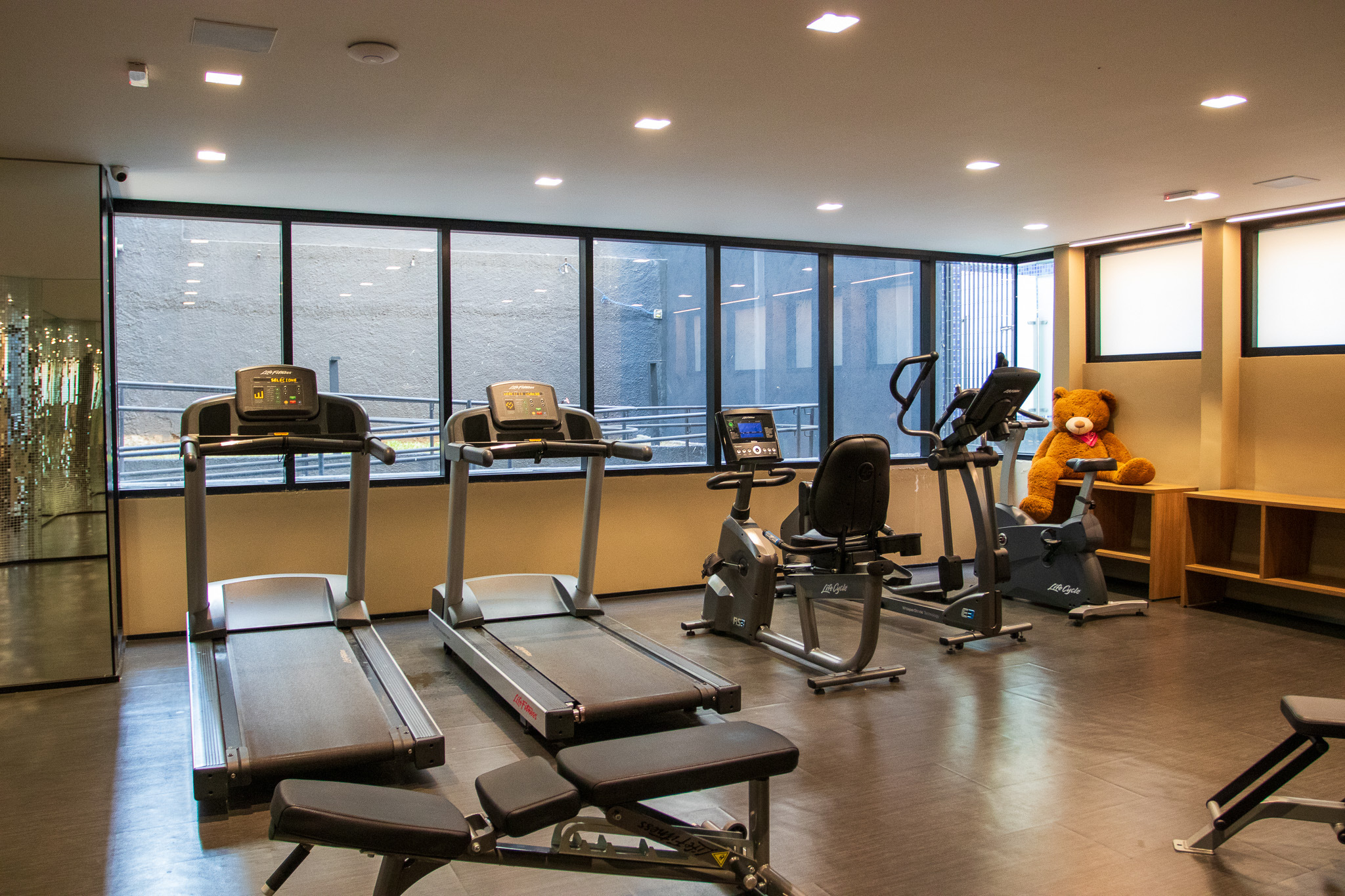 Fitness Fitness