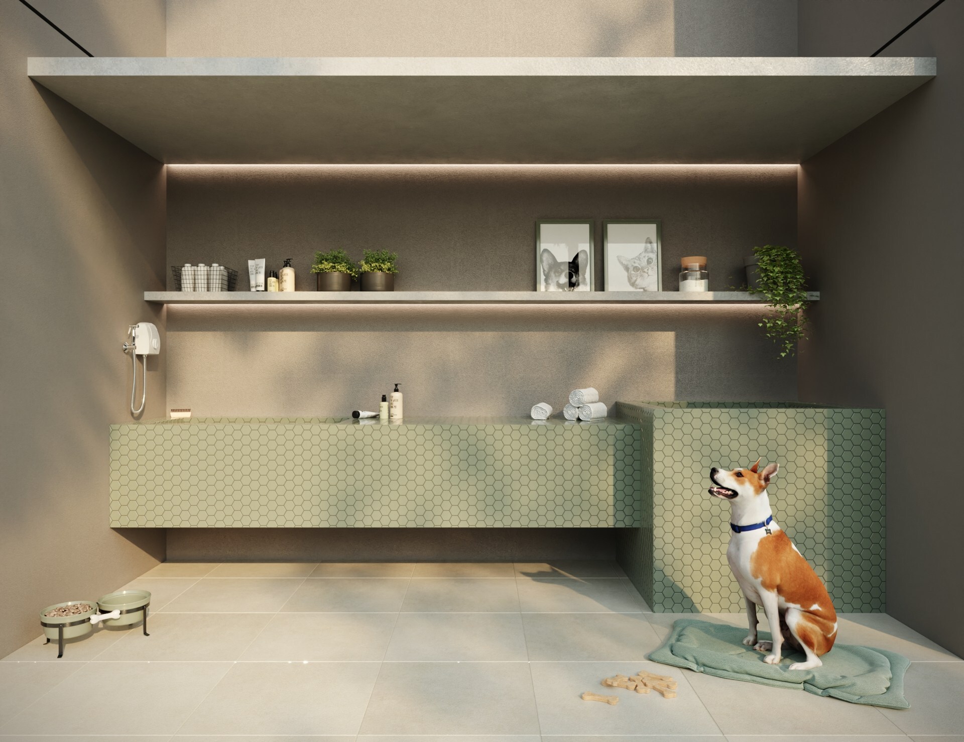 Aldana Jardim - Máximo Aldana