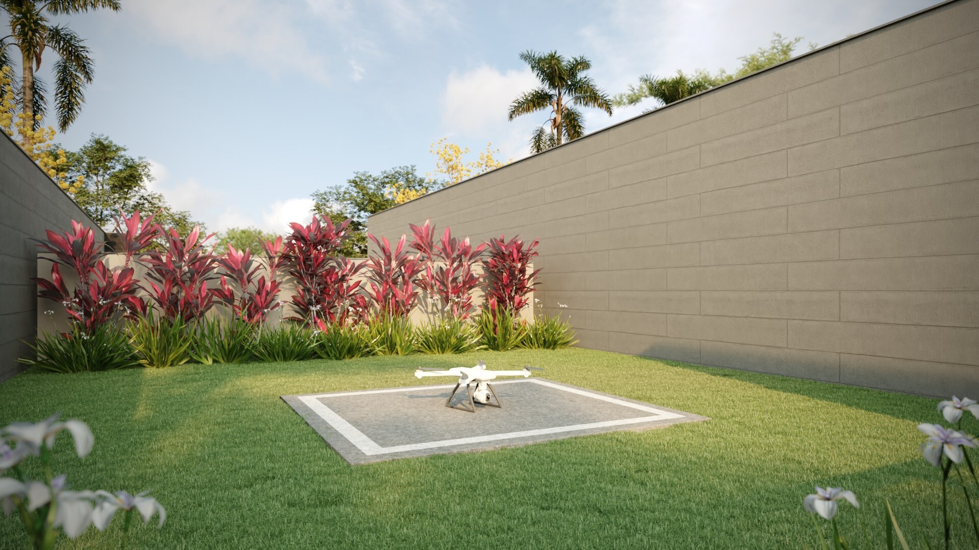 Aldana Jardim - Máximo Aldana