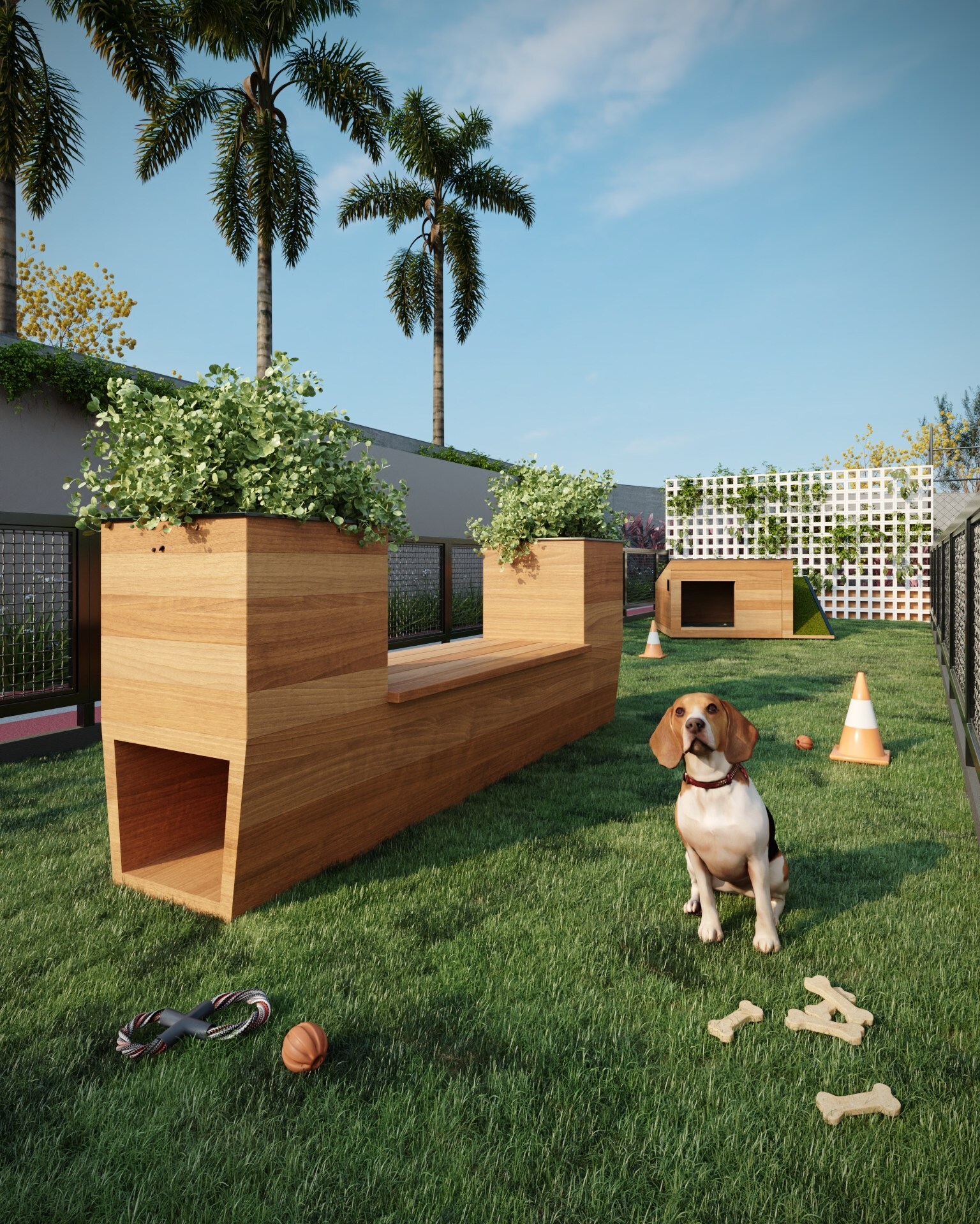 Aldana Jardim - Máximo Aldana