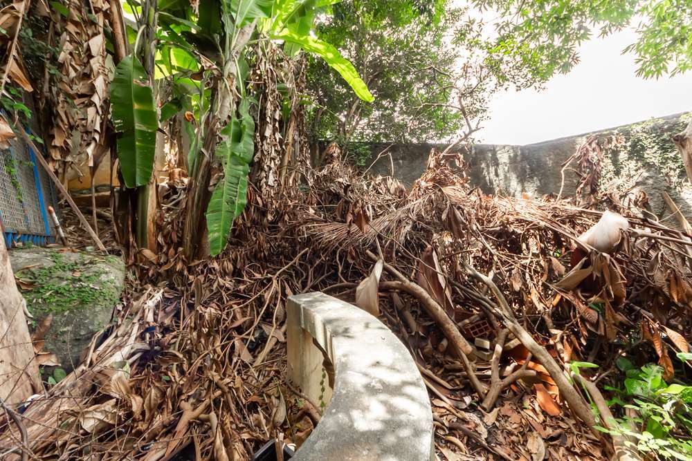 PMDA 191 601481005-69 - REMAX Comunità Exclusividades