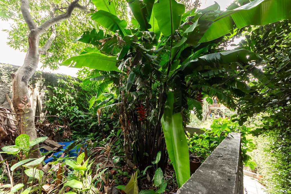 PMDA 191 601481005-69 - REMAX Comunità Exclusividades