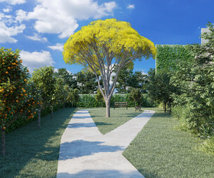 Sierra Vista - Strobel