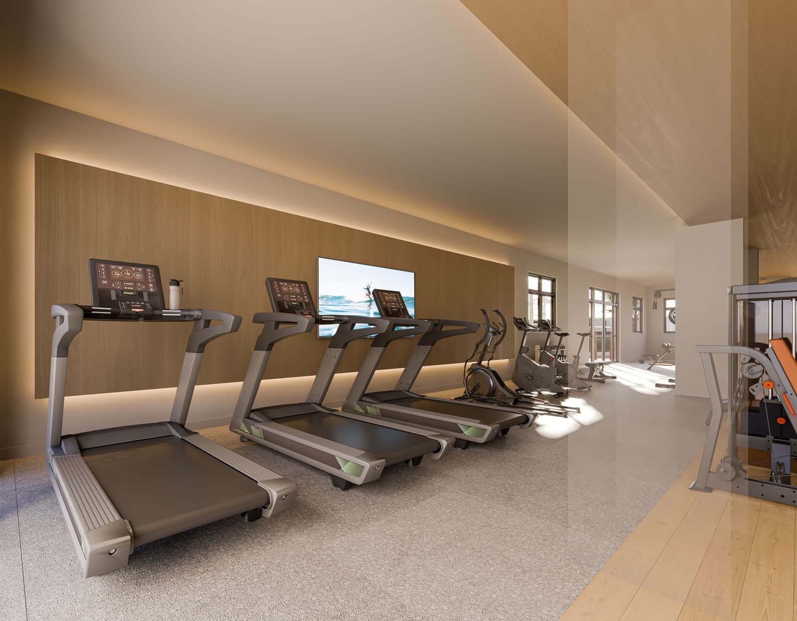 Fitness