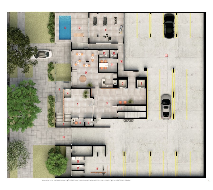 Young 577 - Motta & Selaimen