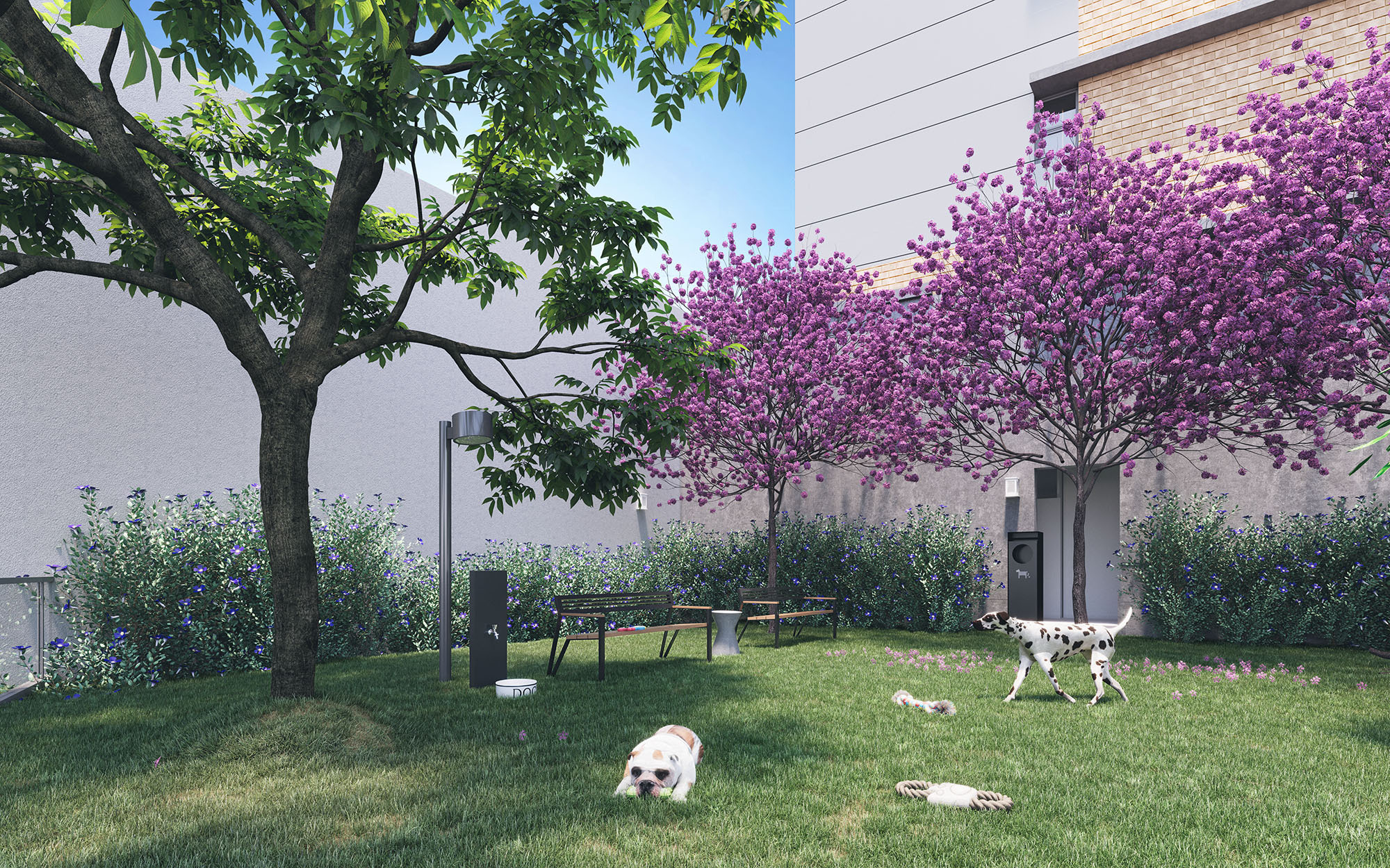 Casa Raízes by Ditolvo - Ditolvo Casa Raízes by Ditolvo - Ditolvo