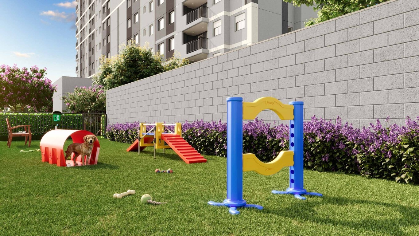 Dez Belenzinho - Cury SP