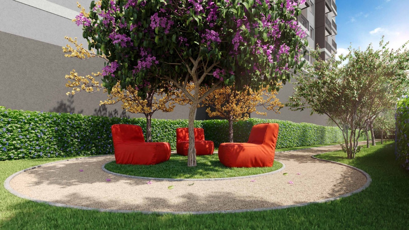 Dez Belenzinho - Cury SP