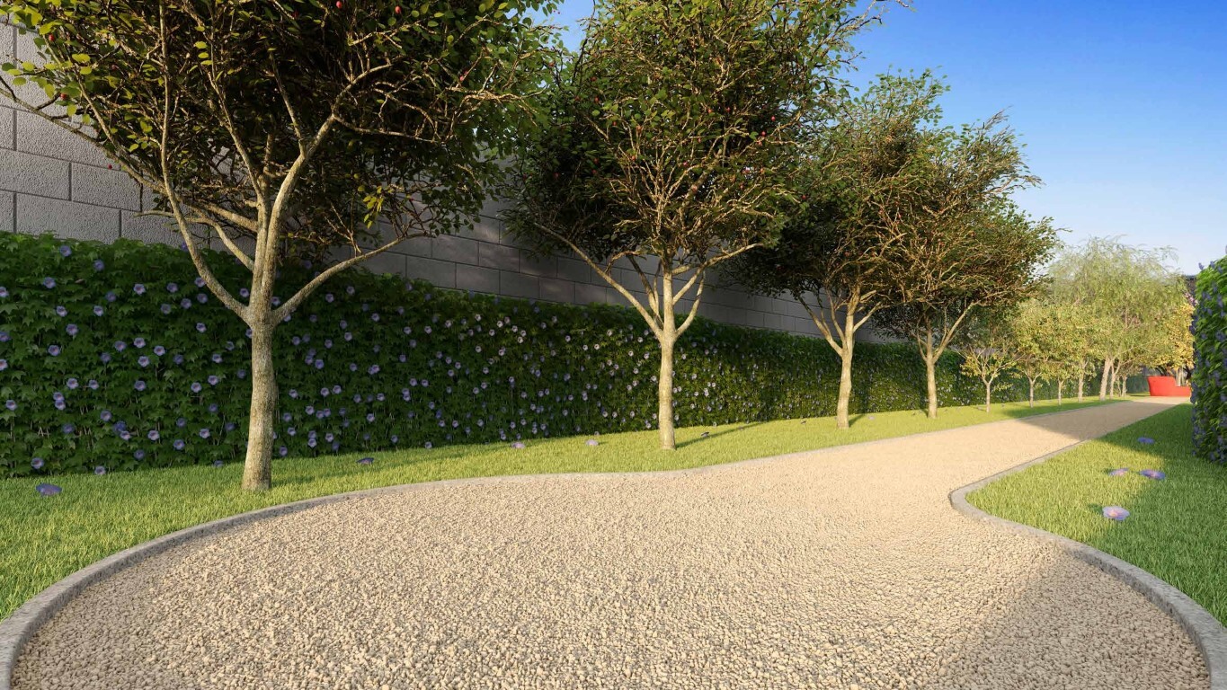 Dez Belenzinho - Cury SP