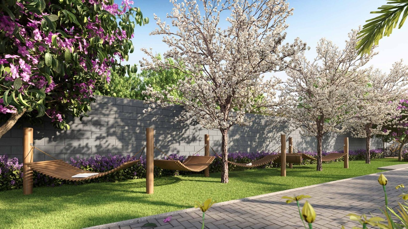 Dez Belenzinho - Cury SP