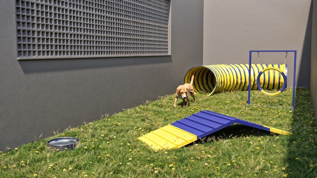 Pet place