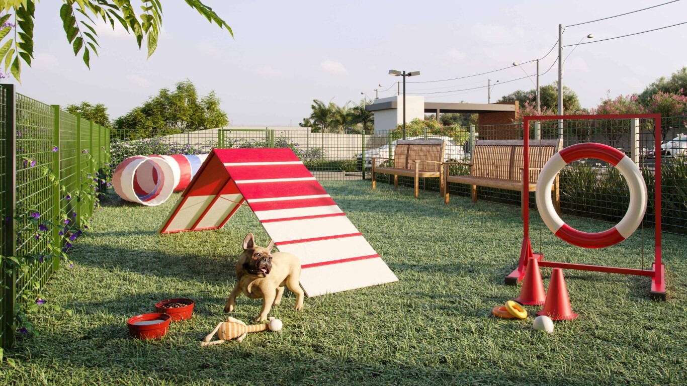 Pet place