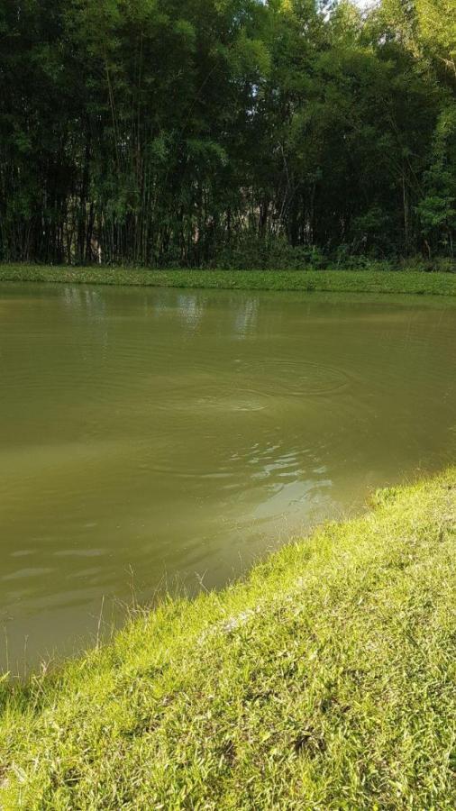 BDBP 1 TUAH303_2-3110169 - Adhemar José Mazzeti Exclusividades BDBP 1 TUAH303_2-3110169 - Adhemar José Mazzeti Exclusividades