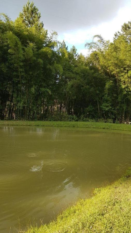 BDBP 1 TUAH303_2-3110169 - Adhemar José Mazzeti Exclusividades BDBP 1 TUAH303_2-3110169 - Adhemar José Mazzeti Exclusividades