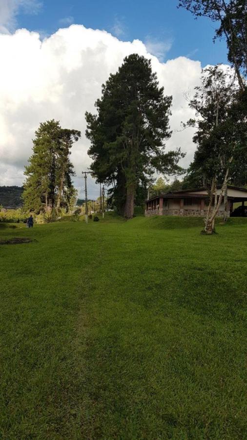 BDBP 1 TUAH303_2-3110169 - Adhemar José Mazzeti Exclusividades BDBP 1 TUAH303_2-3110169 - Adhemar José Mazzeti Exclusividades