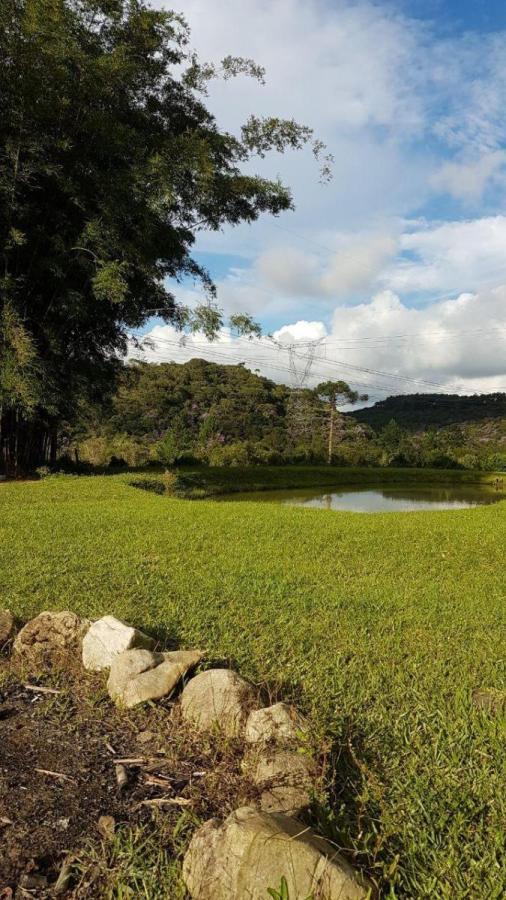 BDBP 1 TUAH303_2-3110169 - Adhemar José Mazzeti Exclusividades BDBP 1 TUAH303_2-3110169 - Adhemar José Mazzeti Exclusividades