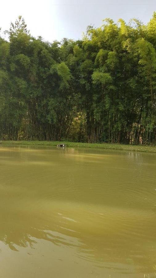 BDBP 1 TUAH303_2-3110169 - Adhemar José Mazzeti Exclusividades BDBP 1 TUAH303_2-3110169 - Adhemar José Mazzeti Exclusividades