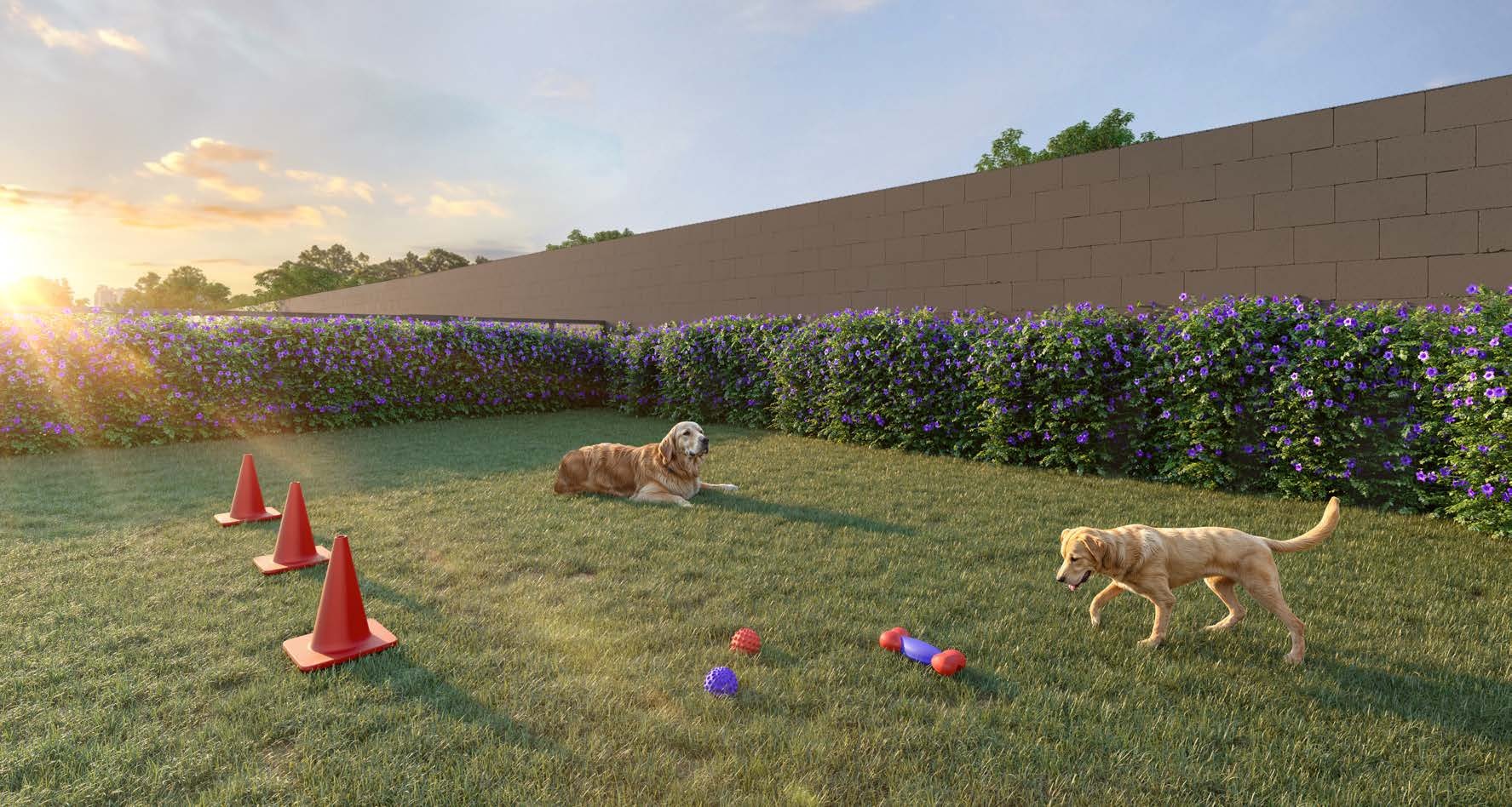 Vivaz Ermelino Matarazzo - Vivaz SP