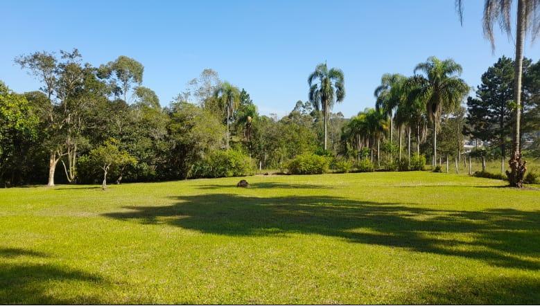 FP 100 TUAH512_2-3117007 - Adhemar José Mazzeti Exclusividades FP 100 TUAH512_2-3117007 - Adhemar José Mazzeti Exclusividades